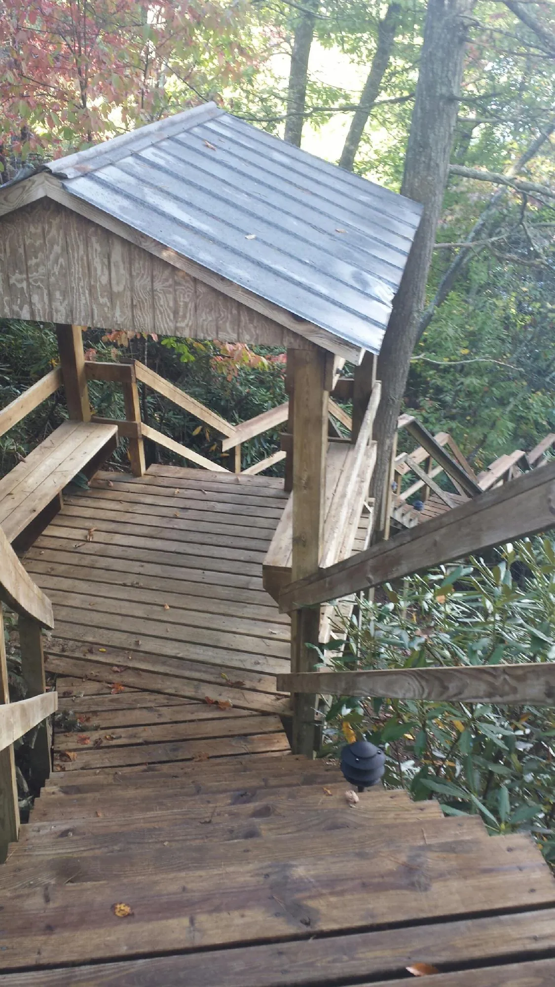 Metal roofed shelter over wooden steps on a wooded walkway in Libertytown